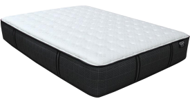 STED6000FR-1.png